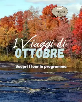 Volantino I Viaggi del Cavallino (valido fino al 28-09)