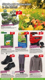 Raiffeisen Markt Prospekt Seite 4