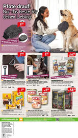 Raiffeisen Markt Prospekt Seite 8