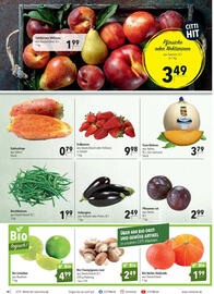 CITTI Markt Prospekt woche 35 Seite 10
