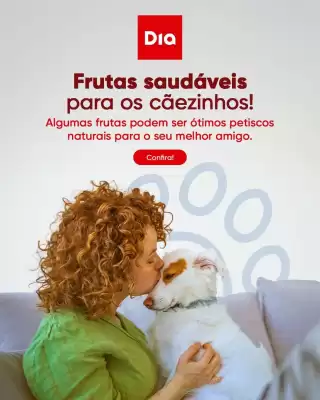Catálogo Dia