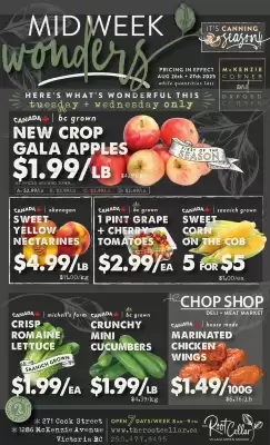 The Root Cellar flyer (valid until 3-09)