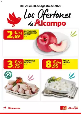 Folleto Alcampo (válido hasta el 28-08)