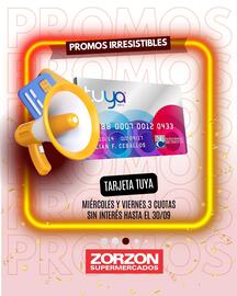 Catálogo Zorzon Supermercados Página 3