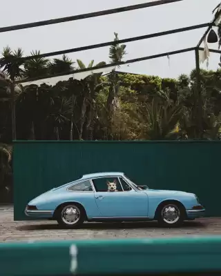 Porsche catalogue (valid until 1-09)