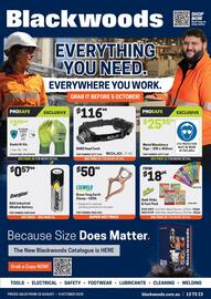Blackwoods catalogue Page 40