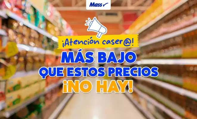 Catálogo Mass (válido hasta 31-08)