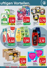 Spar Flugblatt Seite 19