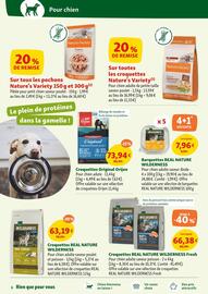 Catalogue Maxi Zoo page 6