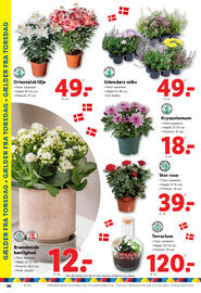Lidl tilbudsavis uge 36 Side 30