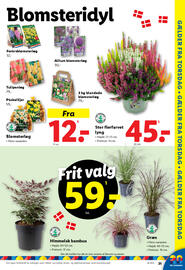 Lidl tilbudsavis uge 36 Side 31