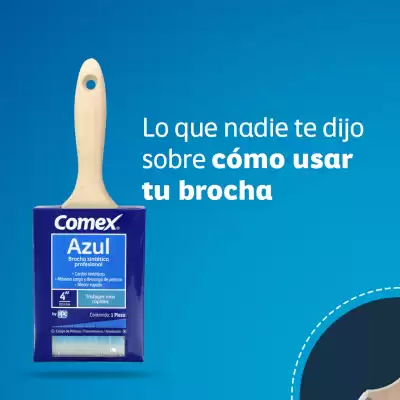 Catálogo Comex (válido hasta 27-08)