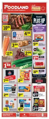Foodland flyer