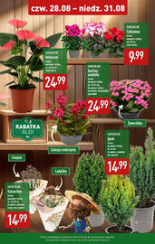 ALDI gazetka Strona 2