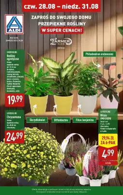 ALDI gazetka