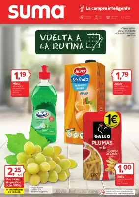 Folleto Suma Supermercados (válido hasta el 16-09)