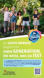Hofer Flugblatt woche 35 Seite 23