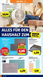 Hofer Flugblatt woche 35 Seite 24