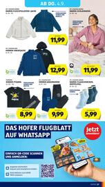 Hofer Flugblatt woche 35 Seite 31