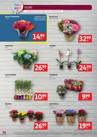 Catalog Auchan Pagină 26