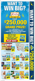 Lucky Supermarkets Weekly Ad week 35 Page 3