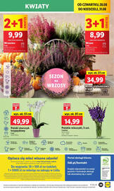 Lidl gazetka Strona 43