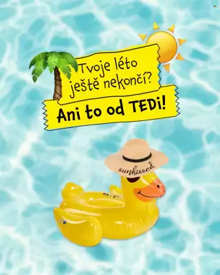 TEDi leták (platné do 3-09)