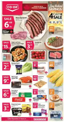Co-op flyer (valid until 4-09)