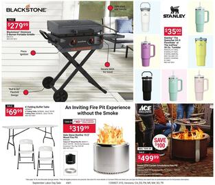 Ace Hardware Weekly Ad Page 10