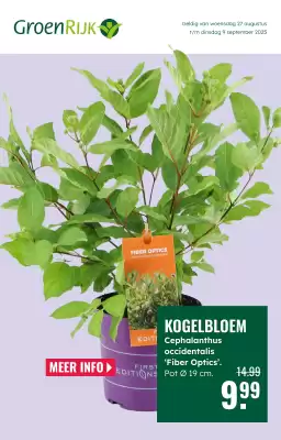 GroenRijk folder (geldig t/m 9-09)
