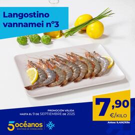 Folleto 5 Océanos Página 3