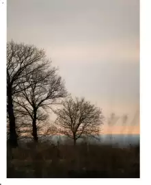 Volantino Maisons du Monde Pagina 8