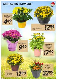 Nesters Market flyer week 35 Page 3