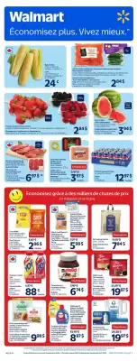 Walmart flyer (valid until 3-09)