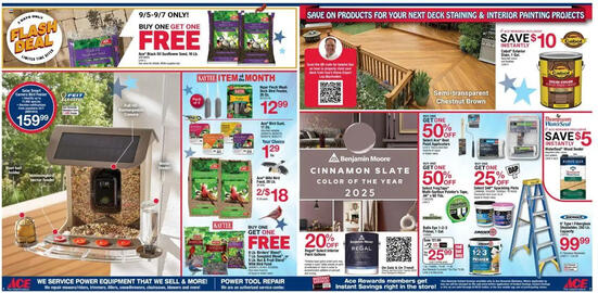 Ace Hardware Weekly Ad Page 2