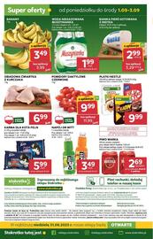 Stokrotka Market gazetka tydzień 35 Strona 22