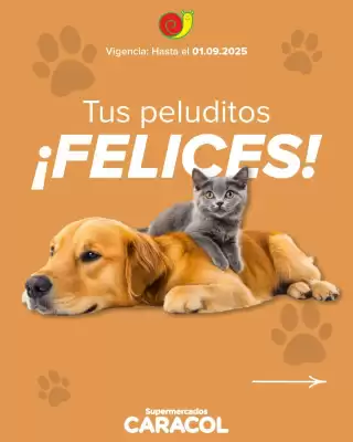 Catálogo Supermercados Caracol (válido hasta 1-09)