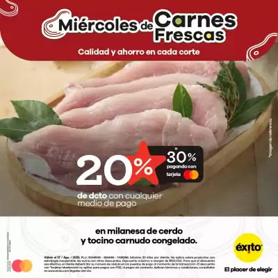 Catálogo Éxito (válido hasta 27-08)