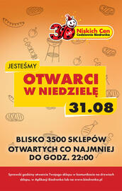 Biedronka gazetka tydzień 35 Strona 16