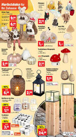 Thomas Philipps Flugblatt woche 36 Seite 6