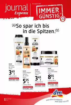 dm Flugblatt
