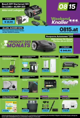 0815 Flugblatt