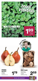 Ekoplaza folder Pagina 13