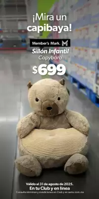 Catálogo Sam's Club (válido hasta 31-08)