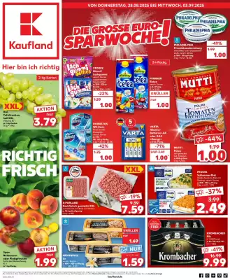 Kaufland Prospekt (gültig bis 3-09)