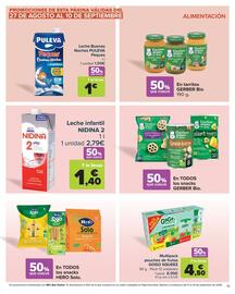 Folleto Carrefour Página 13