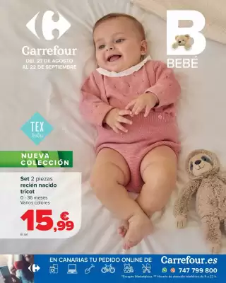 Folleto Carrefour (válido hasta el 22-09)