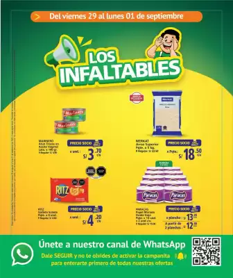 Catálogo Mayorsa (válido hasta 2-09)