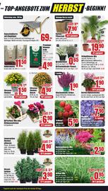 B1 Discount Baumarkt Prospekt woche 35 Seite 7