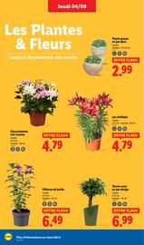 Catalogue Lidl semaine 36 page 30